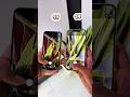 iPhone 11 Vs iPhone 14 || Camera Zoom Test! #shorts
