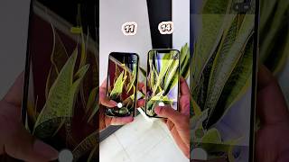 iPhone 11 Vs iPhone 14 || Camera Zoom Test! #shorts