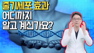 줄기세포 치료 효과 탈모치료 면역력개선 얼굴피부톤 통증완화 다양한 효과