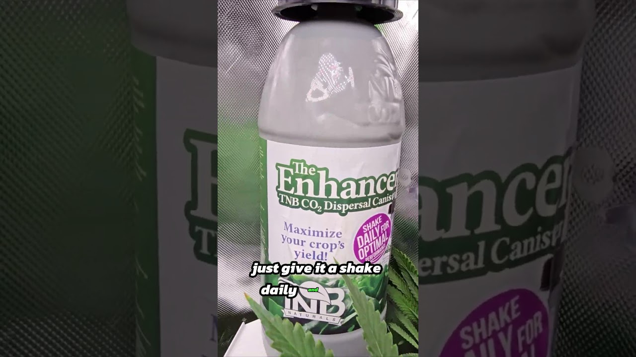 The Shocking Truth About Boosting Buds with TNB CO2!