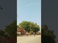 #shortvideo