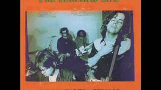 The Flaming Lips Psychiatric Explorations of the Fetus With Needles chords