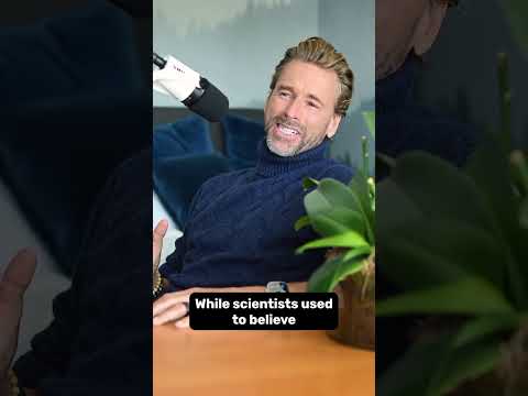 Why I don't like ARTIFICIAL SWEETENERS