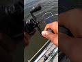 This is hands down my favorite combo ! #fishing #lews #shorts