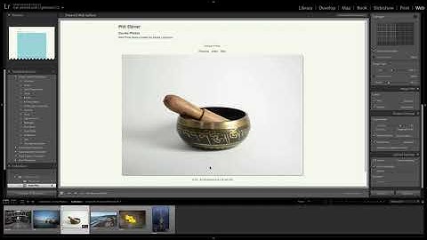 56   the web module - Lightroom Classic CC: The Easy Photo Editing Course