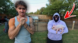His Baby Pig Was Stolen… (sorry Finatic)