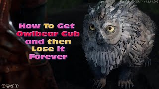 How to Get the Owlbear Cub and Then Lose It Forever [ Baldurs Gate 3 Early Access ]
