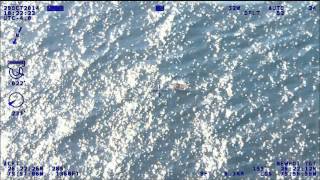 PBSO Marine and Aviation Unit assisted the U.S. Coast Guard with Capsized Vessel