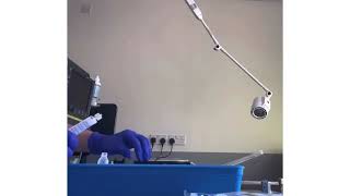 Diluted contrast preparation for ultrasound perfusion imaging