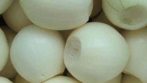 Raynbow optical sorter for peeled onions | RAYTEC VISION SpA
