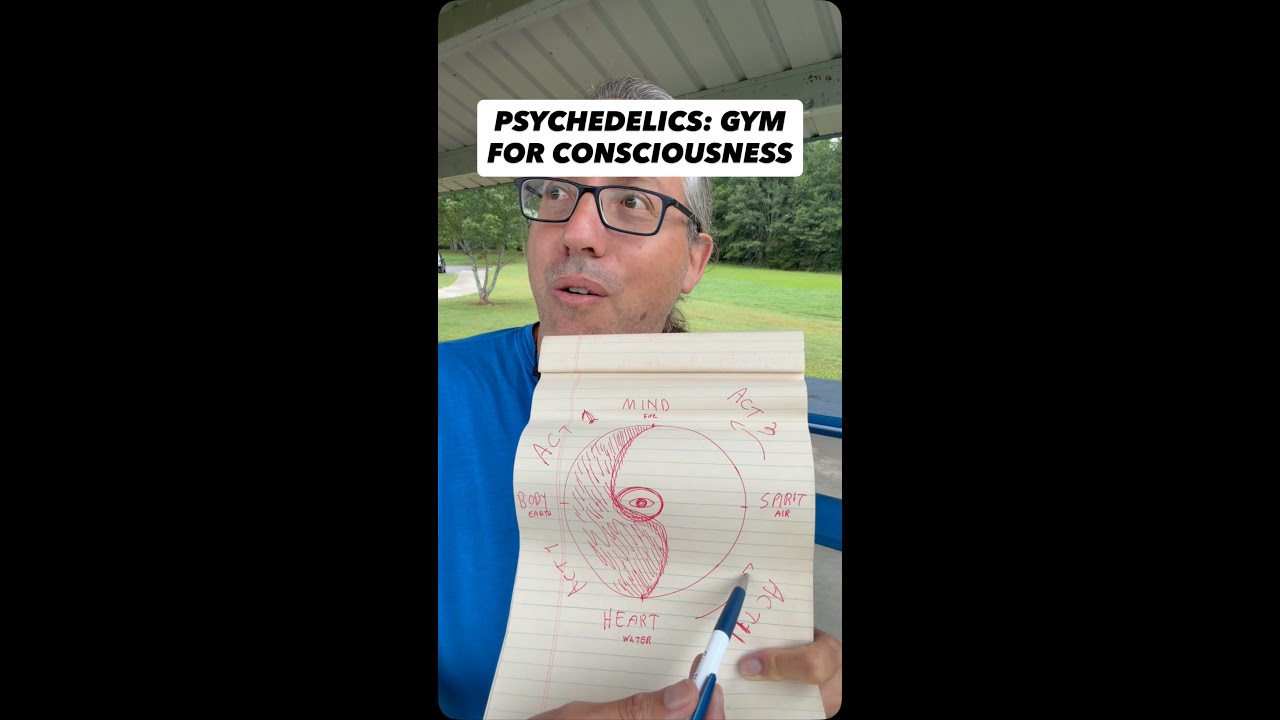 Psychedelics are different workouts for your consciousness