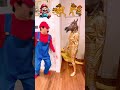 Golden Horse Haunted Surreal Zikiand Zaki 😍😱🐴 #humor #comedy #funny