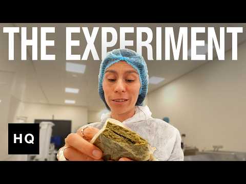 The Great Dutch Cannabis Experiment