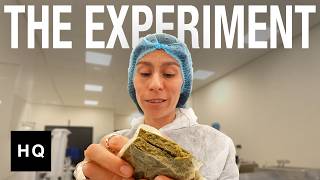 The Great Dutch Cannabis Experiment