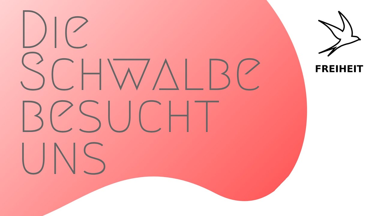 Schwalben zu Besuch bei uns | Kleine Glücksbringer | DieReiseRitter