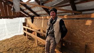 Ionuț Lazăr -A vrut să Schimbe  Oile Cu Capre.