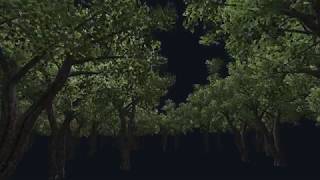 Procedural Tree Animations 2