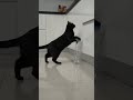 Everything Looks Fine… Until The Last Second Happens