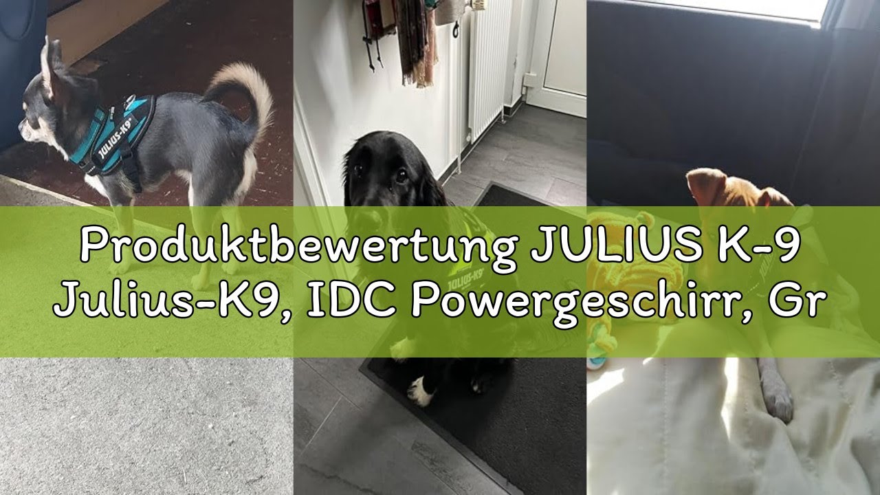 Produktbewertung JULIUS K-9 Julius-K9, IDC Powergeschirr, Größe: 2XS / Baby 2, Blau