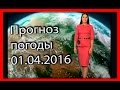 Прогноз погоды. 01.04.2016