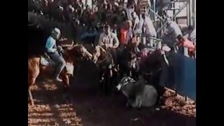 Luis Borquez Debarinasenchica Valen