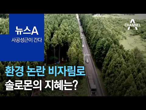 [사공성근이 간다]환경 논란 비자림로…<strong>솔로몬의</strong> 지혜는? | 뉴스A