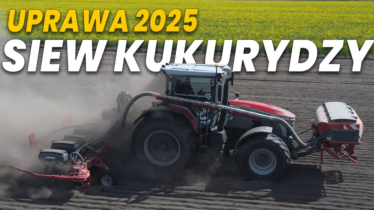 ☆ 🇵🇱 Uprawa w Gr Baczyński & Siew Kukurydzy z UR. ROLTOMA 🇵🇱 CLAAS ATLES & MF 8S 305 ☆