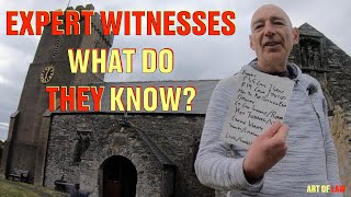 The role of Expert Witnesses.  Who IS an expert; and what exactly are they allowed to say?
