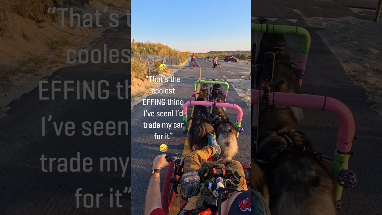 🤣We stopped for peeps from beach to cross - this guy had the best reaction to the 