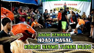 BABAK KEWANAN NDADI - KOBRO SISWO TUNAS MUDO