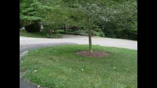 Real Estate For Sale in Zanesville OH