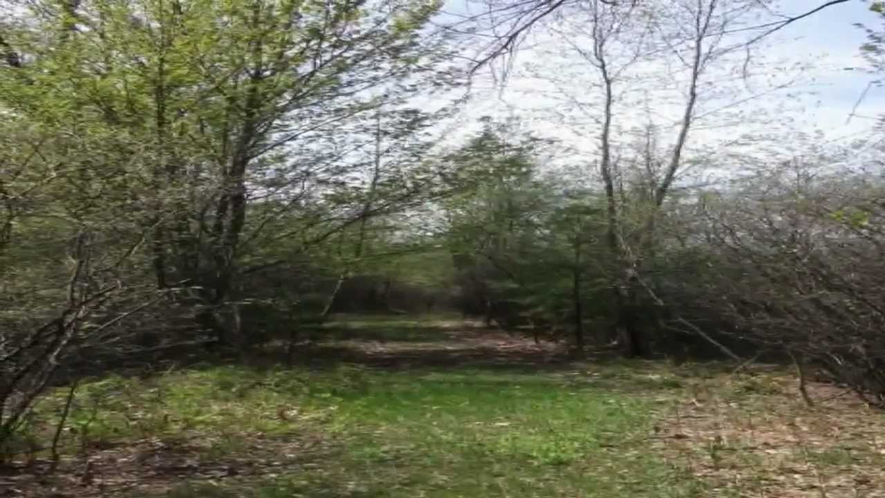 7031 S Oceana Dr, Rothbury, MI Presented by Julie Trevino.