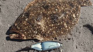 Giant Fluke on Glide Baits - The New Flounder Meta?