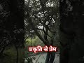 A film of nature's love