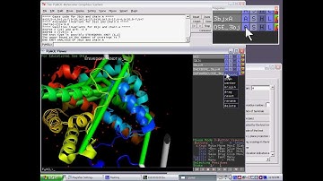 Using PyKnot to verify the stevedore