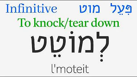Hollow Roots in the Piel: Hebrew Basics #52
