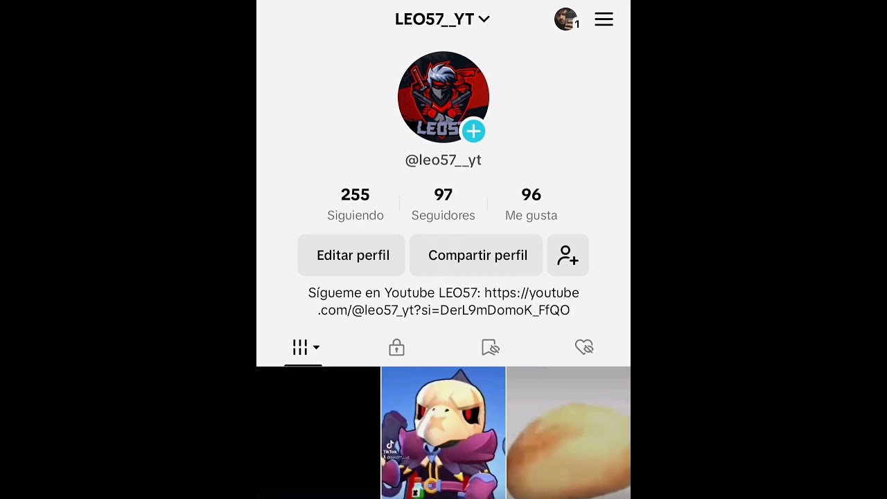 Nuevos canales en tik tok y instagram