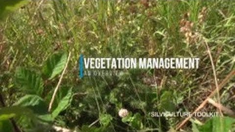 Silviculture Toolkit - VEGETATION MANAGEMENT