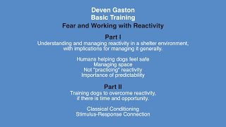 Deven Gaston - Basic Training: Fear and Working With Reactivity