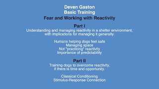 Deven Gaston  Basic Training: Fear and Working With Reactivity