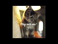 No Copyright Music Play With Me No Copyright Music Play With Me