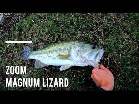 Bass Fishing with Zoom Magnum Lizards! | Spring Fishing