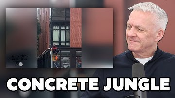 ONLY IN NEW YORK #28 REACTION | OFFICE BLOKES REACT!!