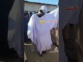 أكبر جلابية في السودان هههههه الناس جلابيه أكبر جلابية في السودان هههههه الناس جلابيه