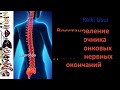 Восстановление позвоночника || межпозвонковых дисков || нервных окончаний