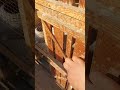 الحمام بياكل كام مره في اليوم