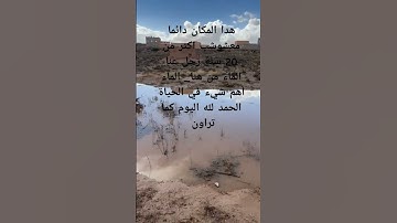 #سورة_الكهف #دعاء_مستجاب #دعاء_حمزة_بوديب #اكسبلور #القارئ_حمزة_بوديب