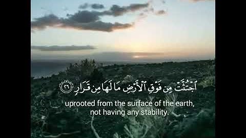 ألم تر كيف ضرب الله مثلا كلمة طيبة = القارى الشيخ عبدالعزيز الدبيخي #تلاوه #quran_video