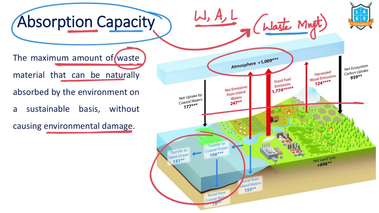 What is Absorption Capacity ? Absorption Capacity అంటే ఏమిటి? La