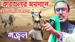 মহরমের সেরা গজল┇হযরত আলি আসগর এর সানে কারবালার ঘটনা┇মহিবুল্লাহ হুসাইন